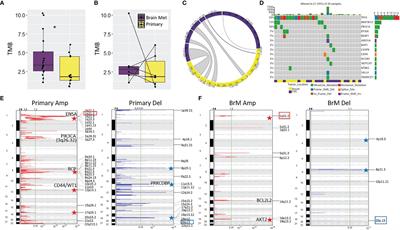 Comprehensive Analysis of the <mark class="highlighted">Immunogenomics</mark> of Triple-Negative Breast Cancer Brain Metastases From LCCC1419